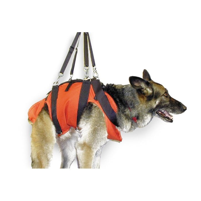 K9 rappelling hot sale harness