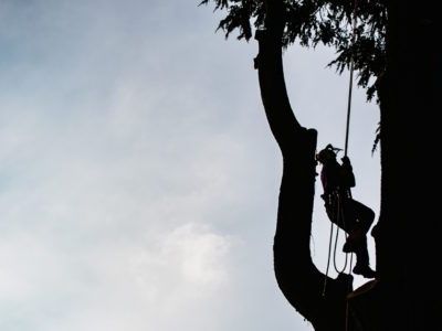 feat_img_Safety-Tips-480x300-1