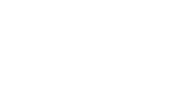 Rock N Rescue Logo