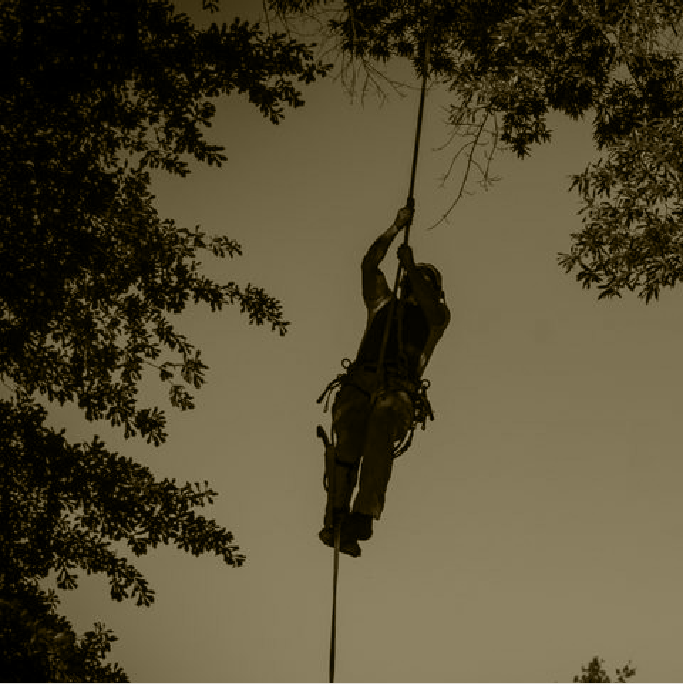 rope-access-technician-ascending-line-in-woods