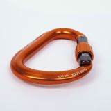 CAMP Core Lock Carabiner