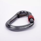 CAMP Atom Belay Lock Carabiner