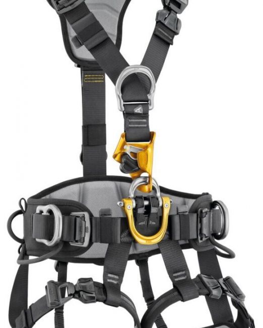 Harnesses