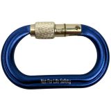Micro Raider Aluminum Screw-Lok Carabiner