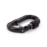 Omega Pacific Micro Raider Captive Aluminum Screw-Lok Carabiner