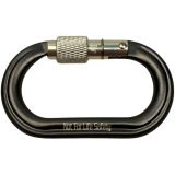 Micro Raider Aluminum Screw-Lok Carabiner