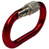 Micro Raider Aluminum Screw-Lok Carabiner