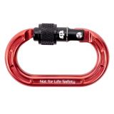 Micro Raider Aluminum Screw-Lok Carabiner