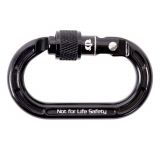 Micro Raider Aluminum Screw-Lok Carabiner