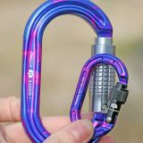 Micro Raider Aluminum Screw-Lok Carabiner