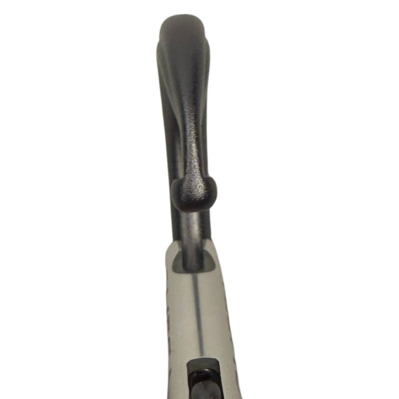 Micro Raider Aluminum Straightgate Carabiner