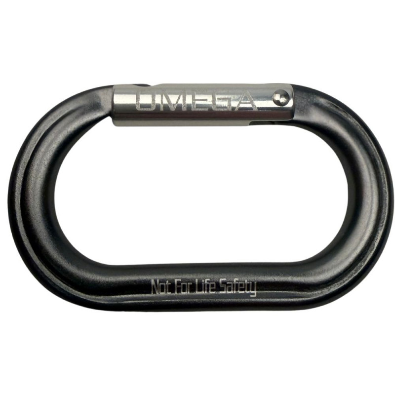 Micro Raider Aluminum Straightgate Carabiner