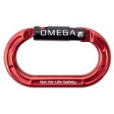 Micro Raider Aluminum Straightgate Carabiner