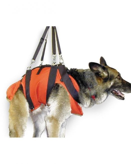 Speciality Harnesses