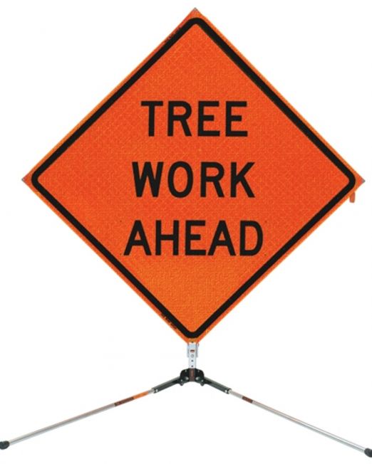 Safety & Traffic