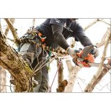 REECOIL Full Reach Chainsaw Lanyard