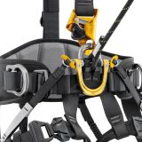 Petzl ASTRO® International Version