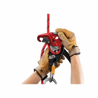 Petzl I’D Large