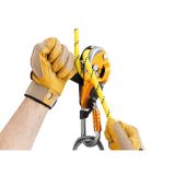 Petzl Rig