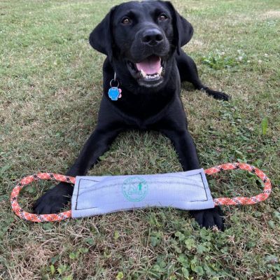 Hound Hose Medium