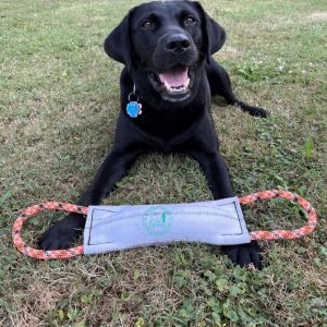 Hound Hose Medium