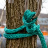 RNA Swamp Ape Dead Eye Slings