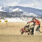 RNR Dog Lift Harness