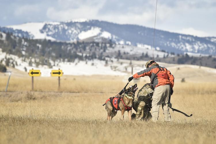 RNR Dog Lift Harness