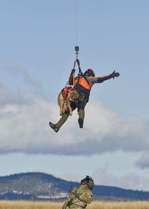 RNR Dog Lift Harness