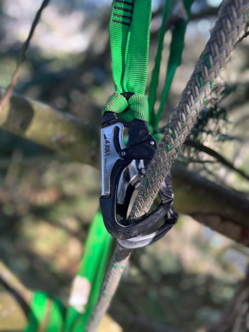 RNA SQUATCH DRAW (SINGLE SLING)