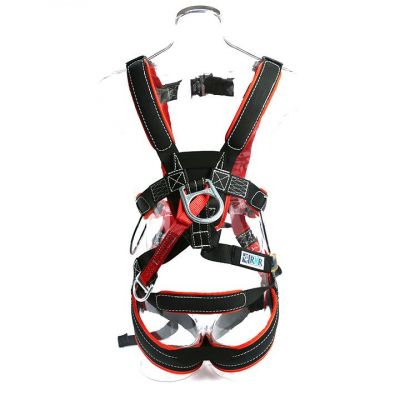 RNR Born Body Ansi Harness – Version II