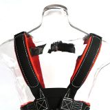 RNR Born Body Ansi Harness – Version II
