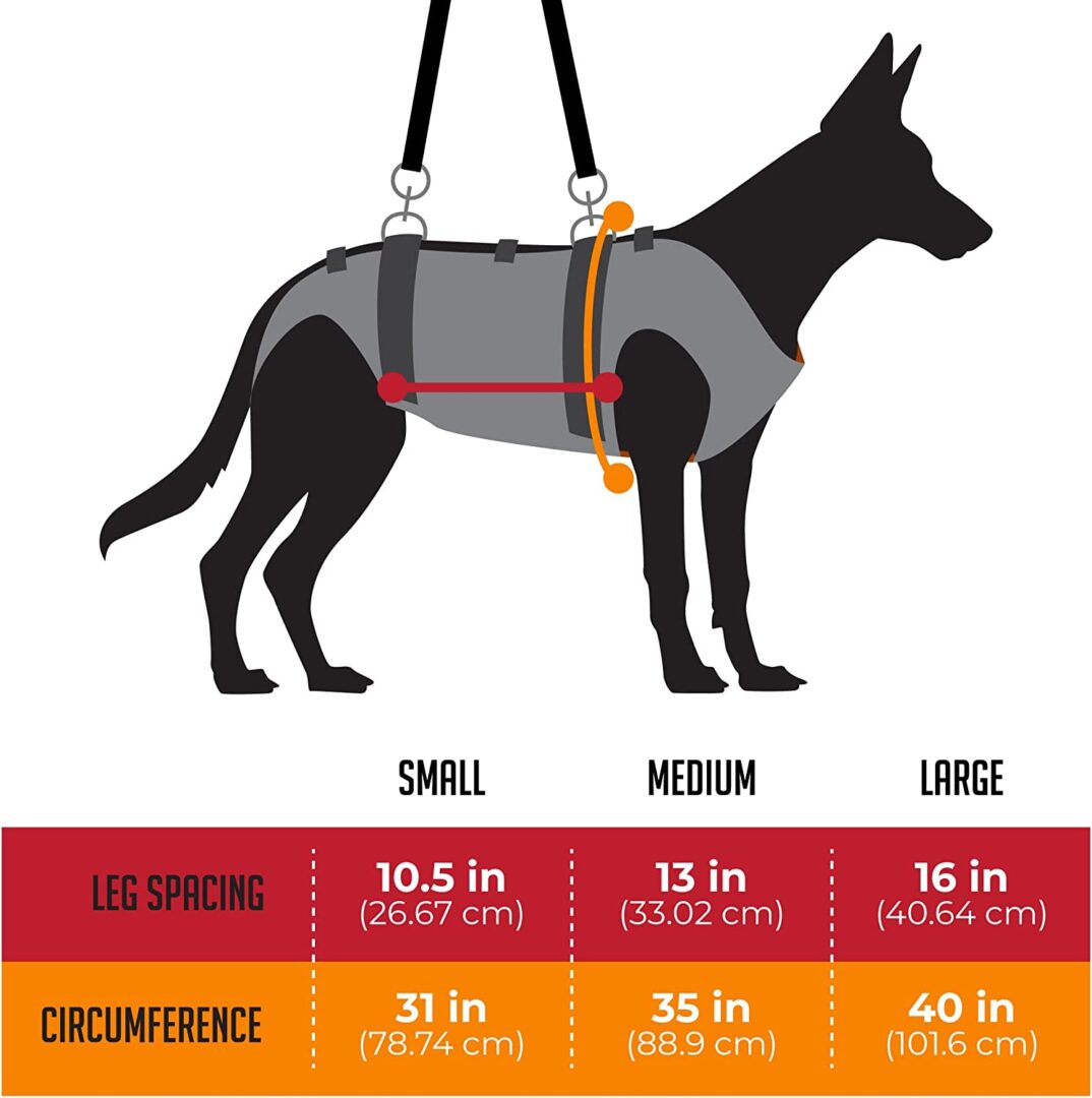 RNR Dog Lift Harness