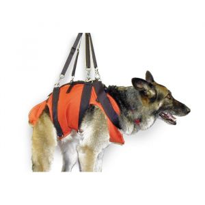 RNR Dog Lift Harness