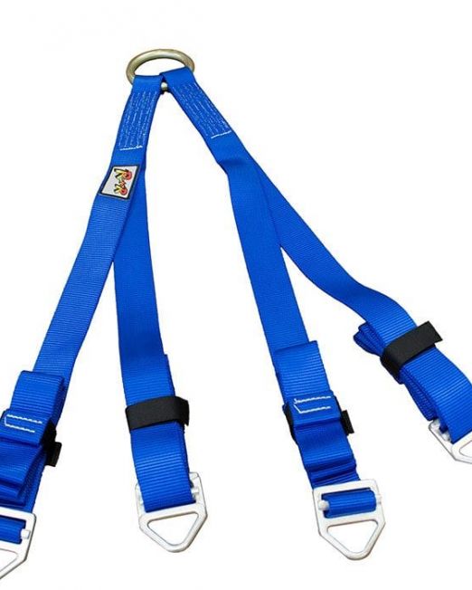 RNR Litter Bridle
