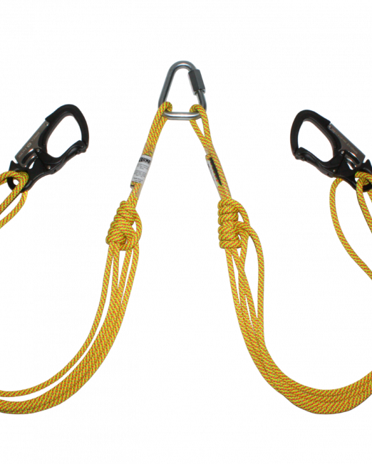 RNR Tagline Litter Bridle