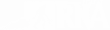 rna-logo-white