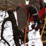HARKEN NINJA FOOT ASCENDER