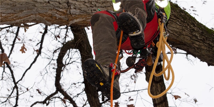 HARKEN NINJA FOOT ASCENDER
