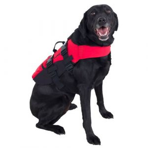 NRS CFD Dog Life Jacket – Previous Model