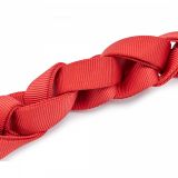RNR 20′ Webbing & Locking Carabiner Combo